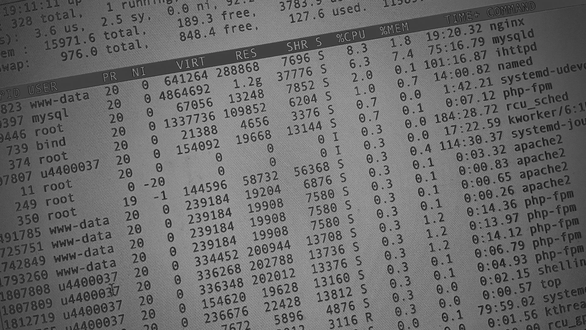 Настройка сервера в Волосово