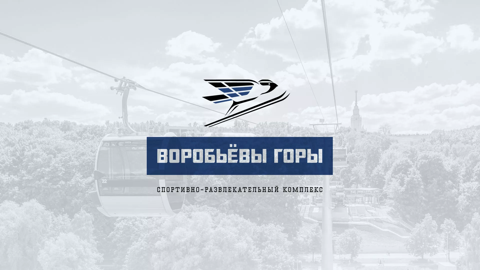 Разработка сайта в Волосово для спортивно-развлекательного комплекса «Воробьёвы горы»