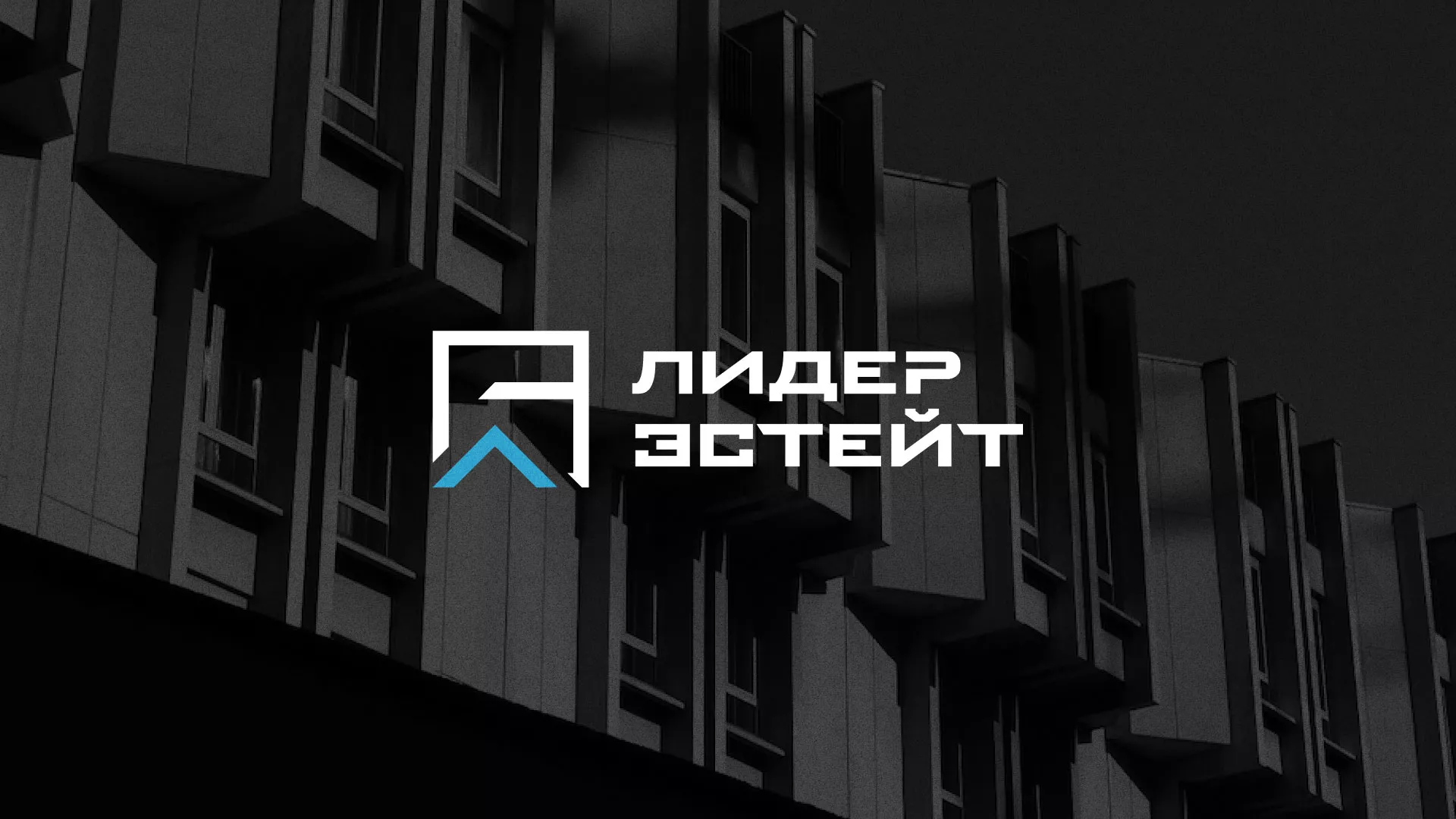 Разработка логотипа агентства недвижимости «Лидер Эстейт» в Волосово